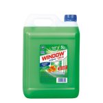 GOLD WINDOW Ocot zelený