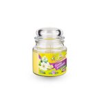 Ponuka - Cena - Predaj Citronella - repelentná sviečka v skle 120g 