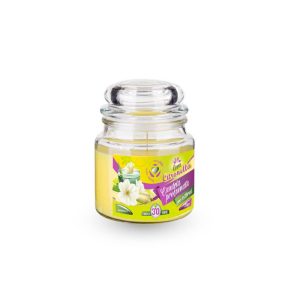 Ponuka - Cena - Predaj Citronella - repelentná sviečka v skle 120g 