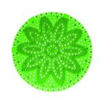 Ponuka - Cena - Predaj Vonné sitko do pisoára vôňa MINI - SPRING