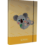 Box na zošity