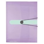 Herlitz - Box na spisy A4 / 4 cm